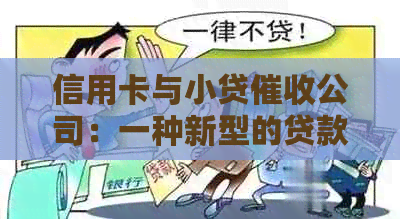 信用卡与小贷公司：一种新型的贷款选择对比分析