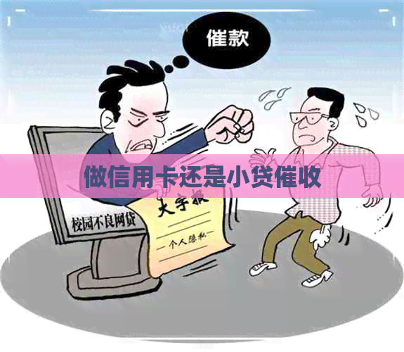 做信用卡还是小贷