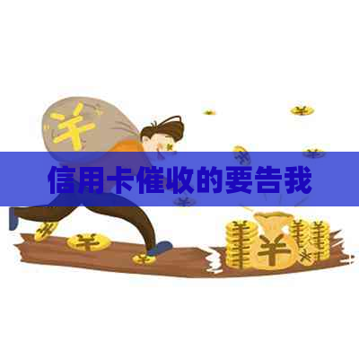 信用卡的要告我