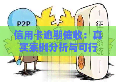 信用卡逾期：真实案例分析与可行赚钱策略