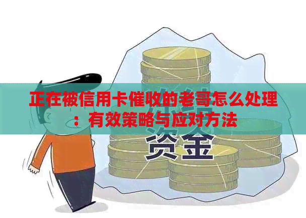 正在被信用卡的老哥怎么处理：有效策略与应对方法