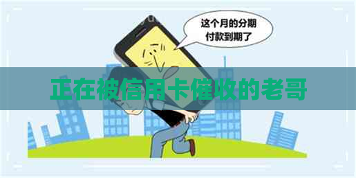 正在被信用卡的老哥