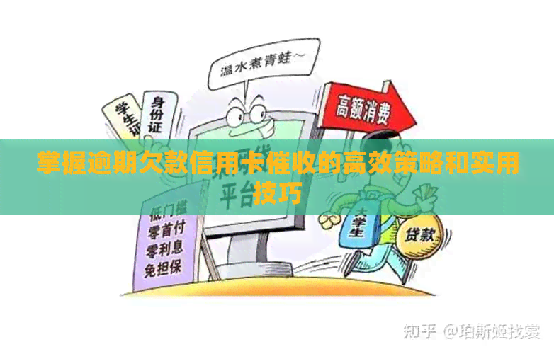 掌握逾期欠款信用卡的高效策略和实用技巧