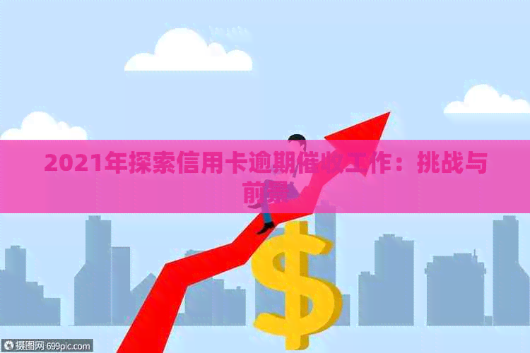 2021年探索信用卡逾期工作：挑战与前景