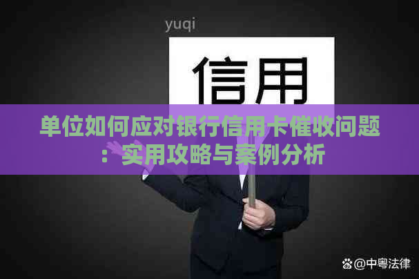 单位如何应对银行信用卡问题：实用攻略与案例分析