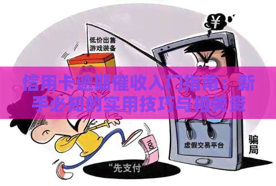 信用卡逾期入门指南：新手必知的实用技巧与相关资讯