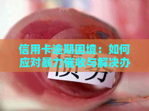 信用卡逾期困境：如何应对与解决办法