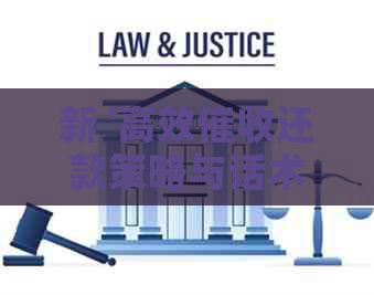 新 '高效还款策略与话术：实用指南'