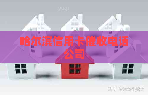 哈尔滨信用卡电话公司