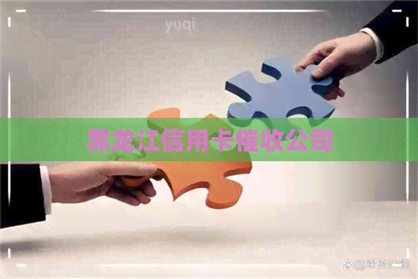 黑龙江信用卡公司