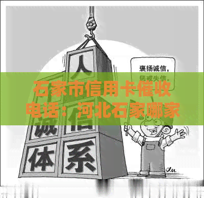 石家市信用卡电话：河北石家哪家公司？