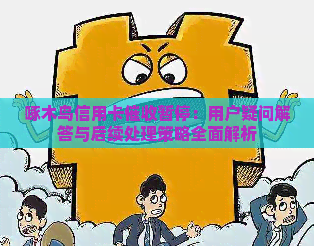 啄木鸟信用卡暂停：用户疑问解答与后续处理策略全面解析