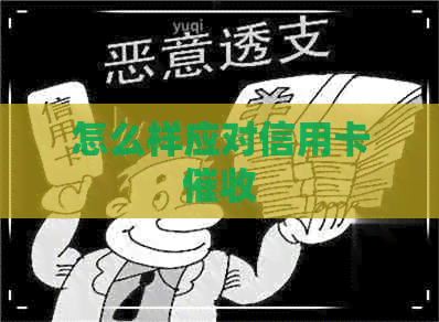 怎么样应对信用卡