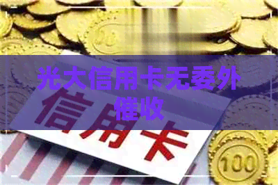光大信用卡无委外