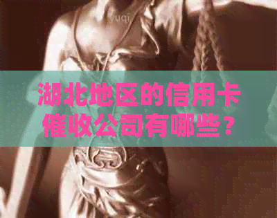 湖北地区的信用卡公司有哪些？请列举并提供详细信息。