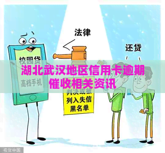 湖北武汉地区信用卡逾期相关资讯