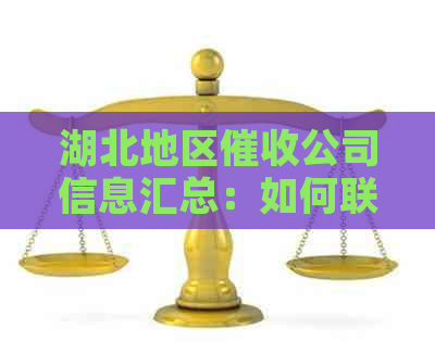 湖北地区公司信息汇总：如何联系、服务范围及费用全面解析