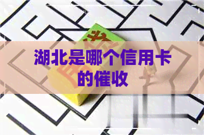 湖北是哪个信用卡的