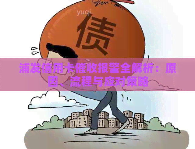浦发信用卡报警全解析：原因、流程与应对策略