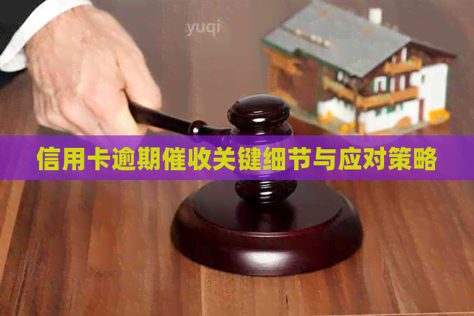 信用卡逾期关键细节与应对策略