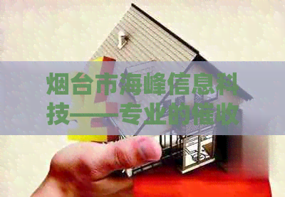 烟台市海峰信息科技——专业的与信用咨询服务