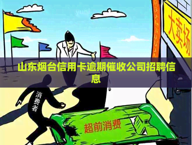 山东烟台信用卡逾期公司招聘信息
