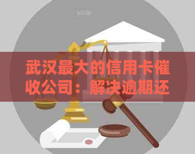 武汉更大的信用卡公司：解决逾期还款问题的综合指南