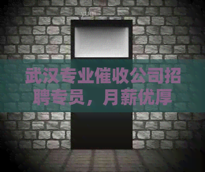 武汉专业公司招聘专员，月薪优厚待遇好，怎么样对比工资？