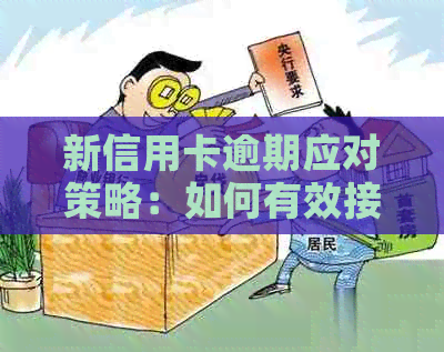新信用卡逾期应对策略：如何有效接听电话并避免不必要的困扰