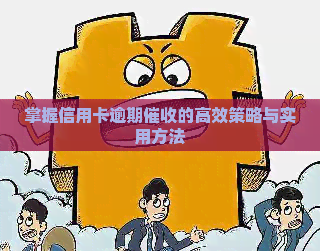 掌握信用卡逾期的高效策略与实用方法