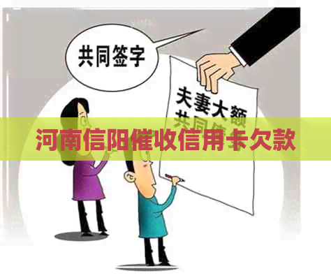 河南信阳信用卡欠款