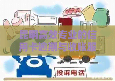 昆明高效专业的信用卡逾期与收账服务公司：债务解决方案专家