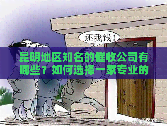 昆明地区知名的公司有哪些？如何选择一家专业的公司？