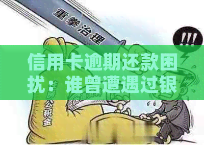 信用卡逾期还款困扰：谁曾遭遇过银行上门的经历？