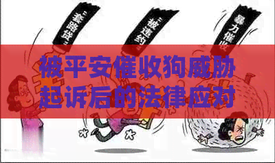 被平安狗起诉后的法律应对：处理逾期信用卡欠款的实用建议