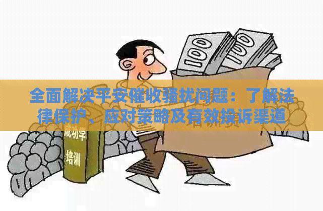 全面解决平安问题：了解法律保护、应对策略及有效投诉渠道