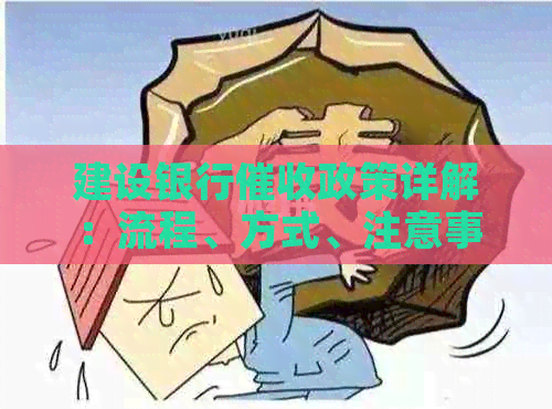 建设银行政策详解：流程、方式、注意事项及应对策略