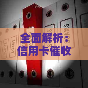 全面解析：信用卡函的样式、内容与影响，解答用户所有疑问