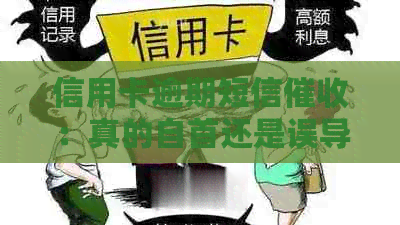信用卡逾期短信：真的自首还是误导？法律解读与应对策略