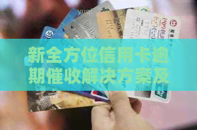 新全方位信用卡逾期解决方案及服务提供商对比分析