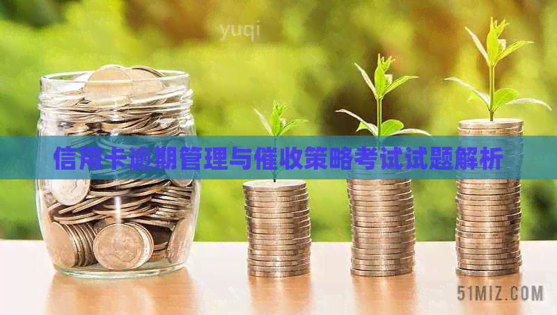 信用卡逾期管理与策略考试试题解析
