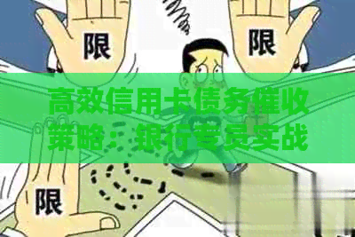高效信用卡债务策略：银行专员实战经验分享