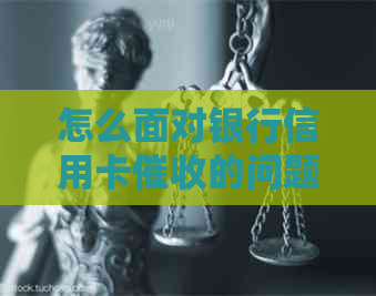 怎么面对银行信用卡的问题：建议与策略