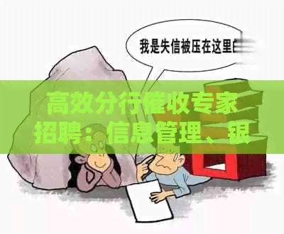 高效分行专家招聘：信息管理、银行业务技能等多方面要求
