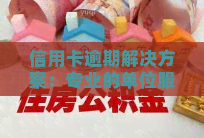 信用卡逾期解决方案：专业的单位服务与指导