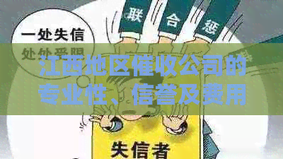 江西地区公司的专业性、信誉及费用全解析，助您找到合适的债务追讨方式