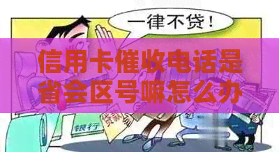 信用卡电话是省会区号嘛怎么办，021区号的信用卡电话