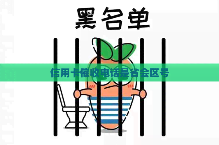 信用卡电话是省会区号