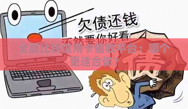 全面比较信用卡平台：哪个更适合你？