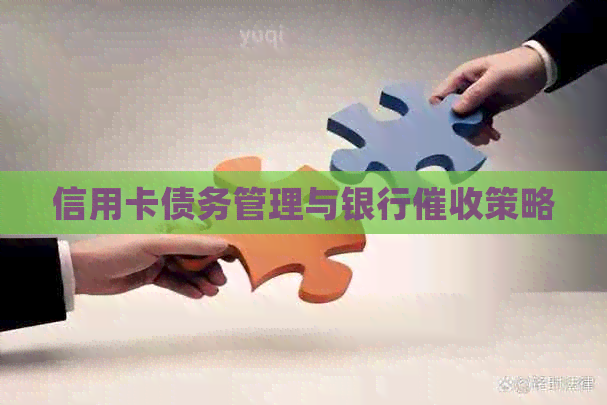 信用卡债务管理与银行策略